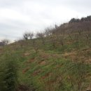 하동산초농장