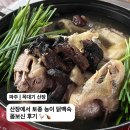 한방토종백숙 - 김포시 약암로 962 | 파주 꼭대기산장 토종한방능이백숙으로 몸모신한 후기