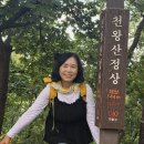 2026년10월16일 금 청왕산 트레킹 강진아리딩 이미지