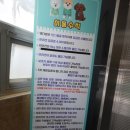 댕다방 이미지