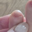 문앤치즈네일