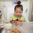 서울삼성안과의원 | 삼성서울병원 어린이 안검내반 안과수술후기