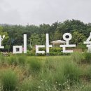 다온숲