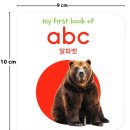 본북스