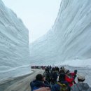 에코라인 이미지