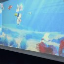 통통이소극장(뽀로로파크 킨텍스점) 이미지