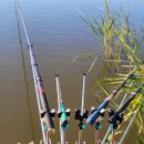 거명산업 | 50대 아빠 생신선물 내돈내산 선물 추천_낚싯대