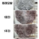 인셀덤블랙