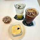 숲속의빈터 | [강원 양양 카페] 숲속의빈터 초록초록뷰가 예쁜 양양대형카페 솔직후기(내돈내산)