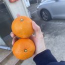 동성식당 이미지