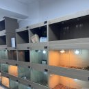 장소 리뷰｜송파 파충류샵 사우스 랩타일스 방문 후기