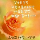 영심이 이미지