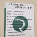 라온스크린테니스