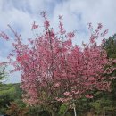 부자농원 이미지