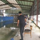 신가리낚시터 이미지