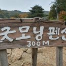굿모닝관광펜션