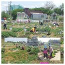 버들농장 이미지