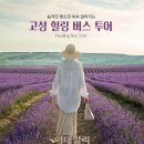 이랜드파크 켄싱턴리조트 지리산남원 이미지