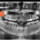 올바로치과의원 이미지