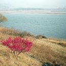 성윤횟집 이미지