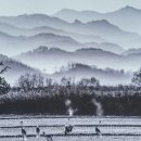 주식회사 우리여행사 이미지