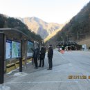 백마농장3 이미지