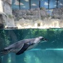 646미터퍼세크 이미지