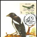 까치 우표 / Eurasian Magpie / 까치 맥시멈카드 이미지