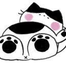 송정군식당 이미지