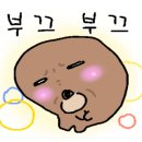 가자아카데미