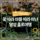 남자현지사 생가 | 영양여행, 혼행하기좋은곳, 연꽃, 해바라기 :: 꽃 따라 마을 따라 떠난 영양 홀로여행