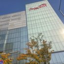 (주)아성다이소 스타필드부천점 | 부천 스타필드 모던하우스 버터 매장 크리스마스 소품 구경 후기