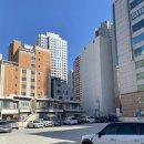 레푸스 연산시청점