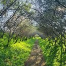 게내 수변공원(공원관리소) | [충청남도 예산군] 아그로랜드 태신목장