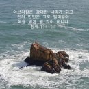 마므레상수리나무 이미지