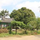 법인춘