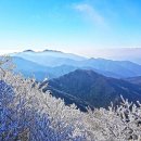 설산약국 이미지