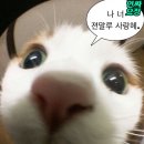 [안국 피자맛집] 한옥 감성 제대로인 플롭(Plop) 안국 데이트 후기!