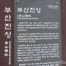 요산정(樂山亭) | 부산진성공원(옛 자성대),조선통신사역사관,서문성곽우주석,영가대