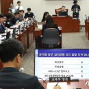 펀치킬러