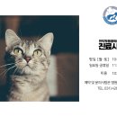 관양동물병원 이미지
