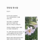 풋사랑 Daum카페