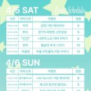 피곤한덤덤tired.dum 이미지
