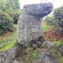 제주대학교 박물관 이미지