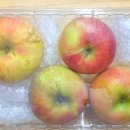 아달달농산 이미지