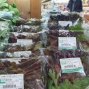 낙성농장 이미지