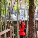 도덕산공원(야외음악당) 이미지