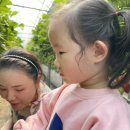 더드림농장 이미지