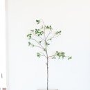 시실리펜션 | 전곡항공간대여 잊지 못할 전곡항의 하루 시실리905 후기