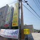 이안숙여수돌산갓김치